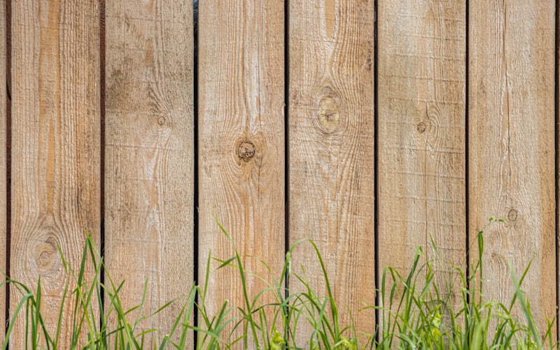Holzzaun mit Gras im Vordergrund